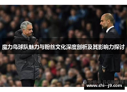魔力鸟球队魅力与粉丝文化深度剖析及其影响力探讨