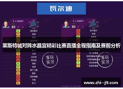 莱斯特城对阵水晶宫精彩比赛直播全程指南及赛前分析