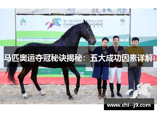 马匹奥运夺冠秘诀揭秘：五大成功因素详解