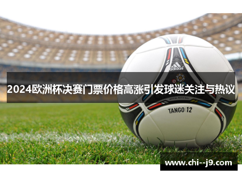 2024欧洲杯决赛门票价格高涨引发球迷关注与热议