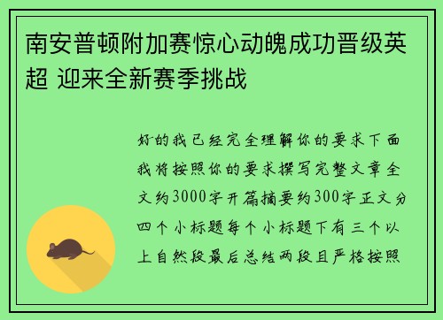 南安普顿附加赛惊心动魄成功晋级英超 迎来全新赛季挑战